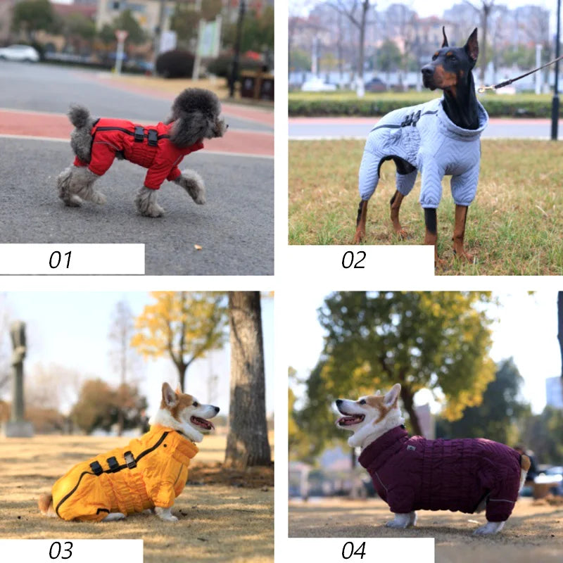 Waterproof Cotton Padded Dog Coat Winter Jacket Windproof For Four Legged Dogs Greyhound Corgi Chihuahua
