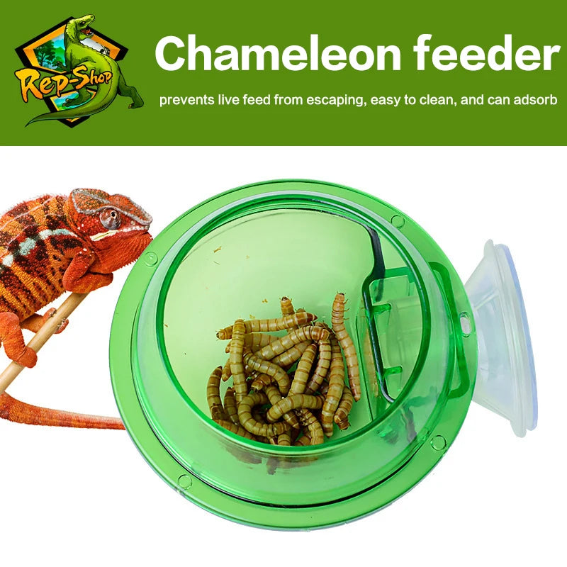 Arboreal Reptile Sucker Feeder Bowl