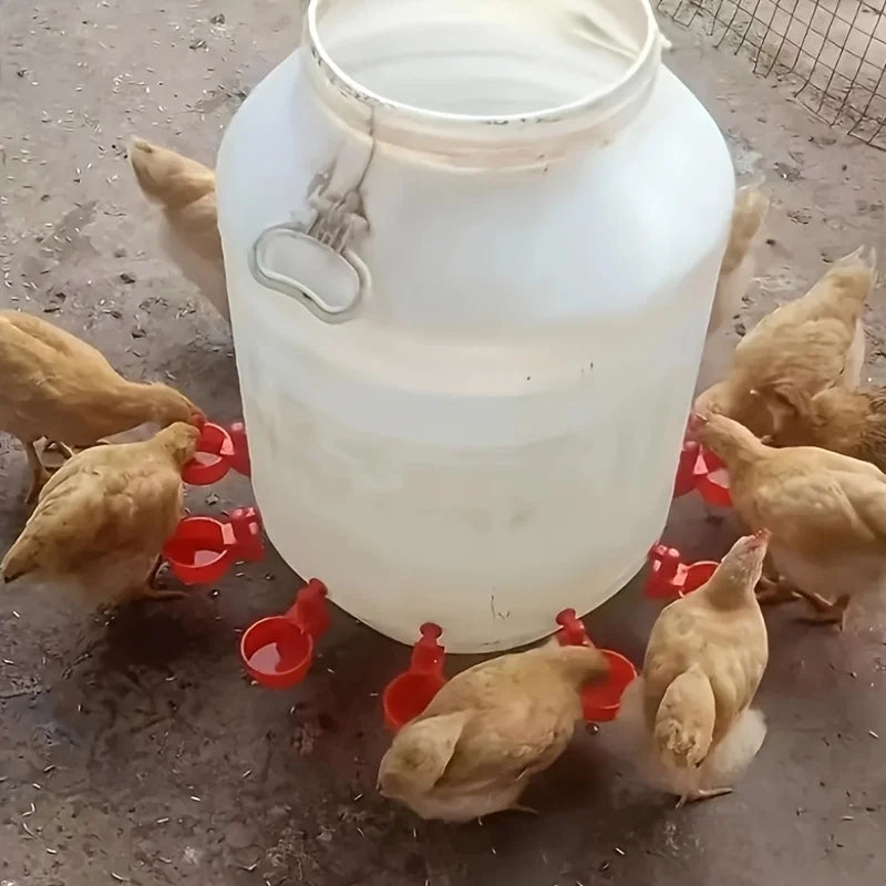 5/10 Pcs Poultry Automatic Water Dispensers - Chicken & Pigeon Drinking Bowls for Small Chicks