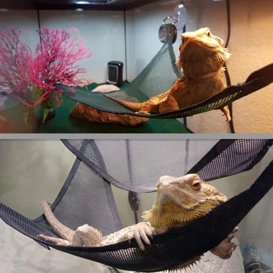 Reptile Hammock Lounger & Ladder Set