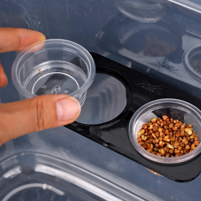 Reptile Suction Cup Feeder Bowl