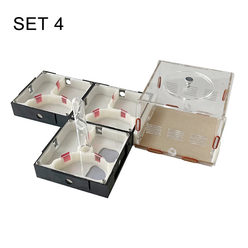Acrylic Ant Farm Unlimited Expansion.