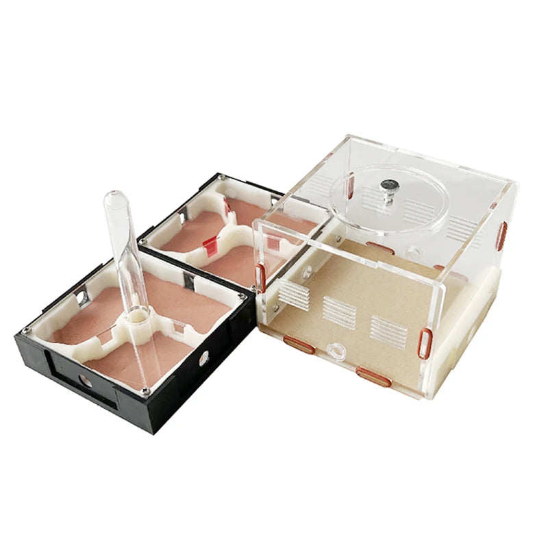 Acrylic Ant Farm Unlimited Expansion.