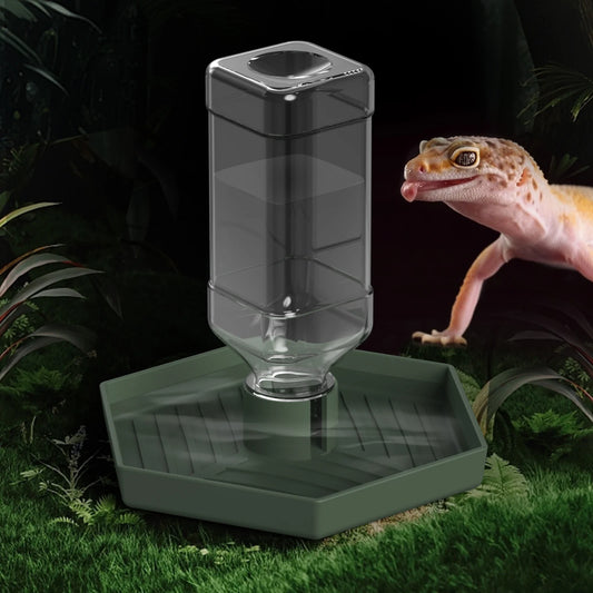 Reptile Water Dispenser, Water Bowl, Feeding Supplies, Suitable for Lizards, Turtles, Geckos, Terrarium Accessories