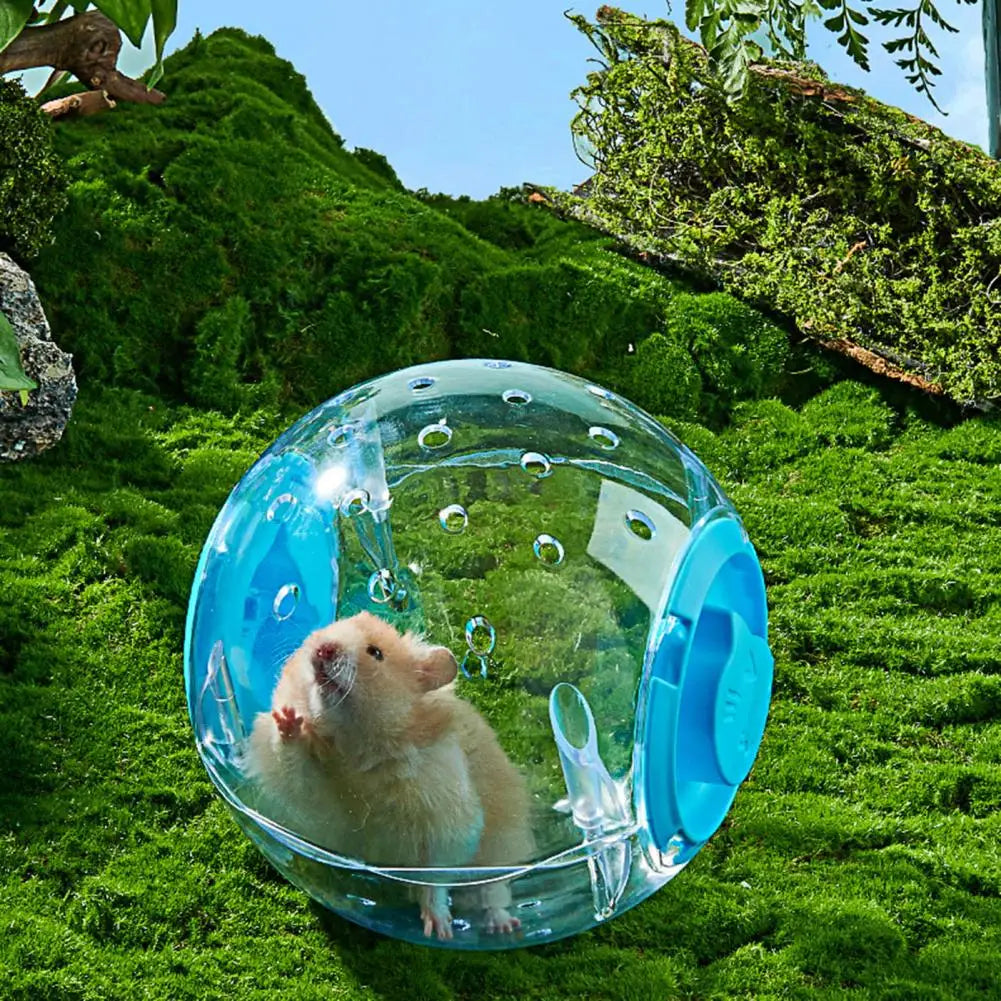 12cm/16cm/18cm Hamster Exercise Ball Transparent Hamster Running Ball Wheel With Traction Rope For Small Animals Pet Supplies