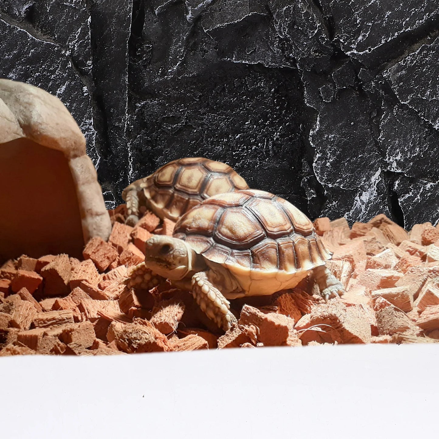 3D Reptile Tank Background Panel