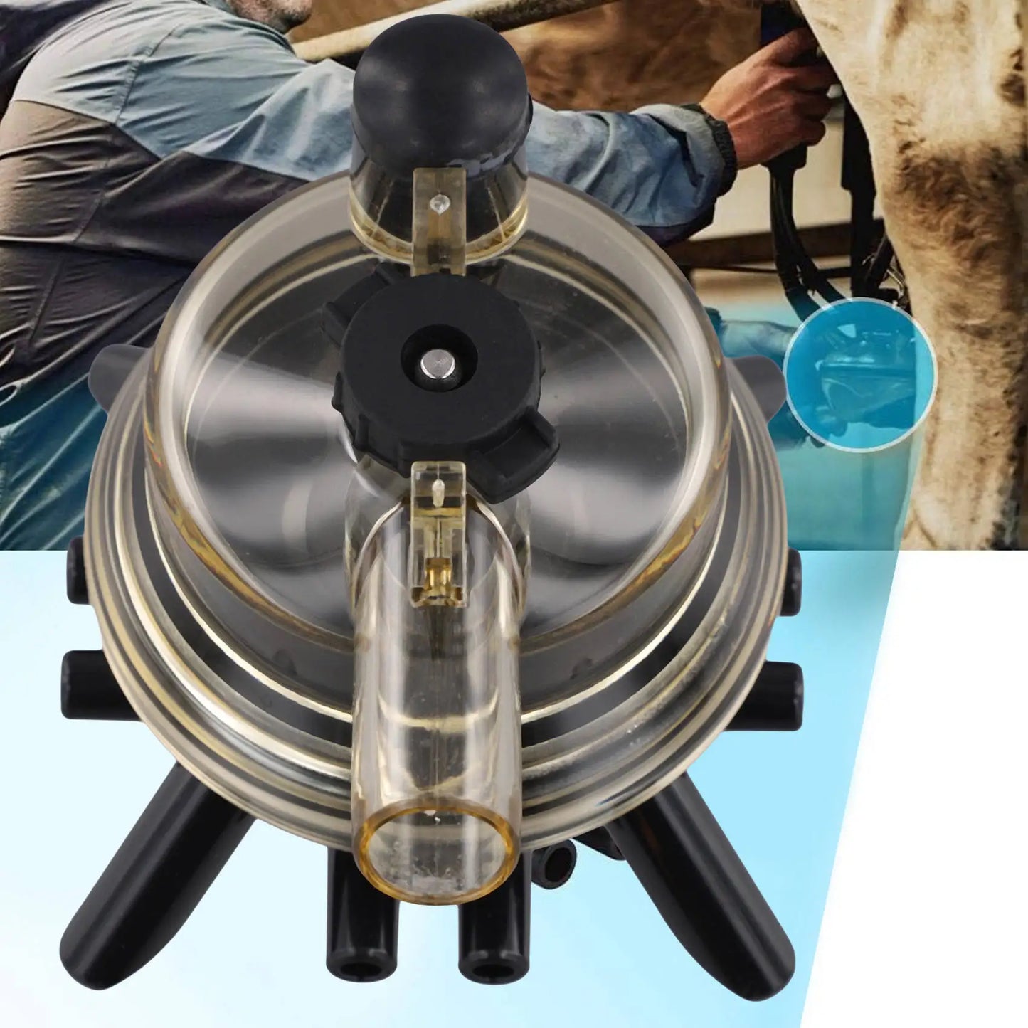 A36T-Milking Claw 150Cc Bevel Cow Milk Collector Milking Machine Cow Use Milking Claw Milk Collector  For Cow Milking Machine