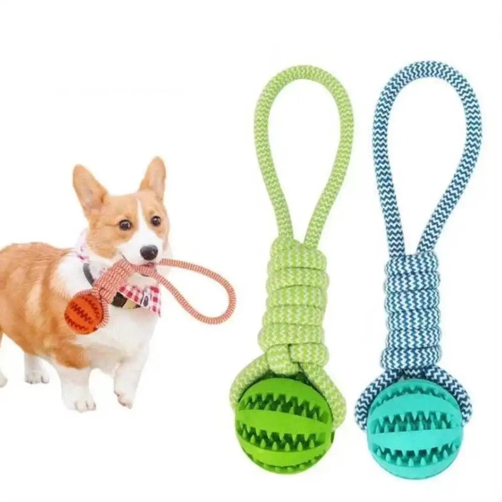 Interactive Dog Treat Ball with Rope