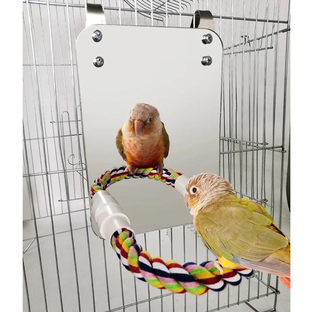 Bird Mirror Perch And Swing Toy For Parrots Parakeets Finches Macaws Interactive Entertainment Preening