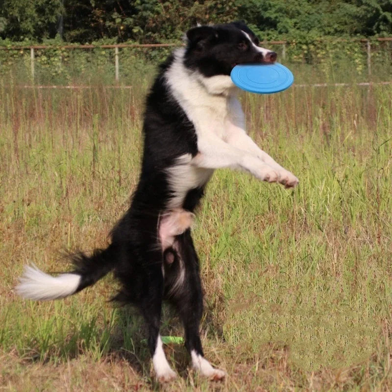 Interactive Silicone Flying Saucer Toy for Dogs And Cats Chew Resistant Flying Disc Pet Game Perfect for Puppy Training Fun