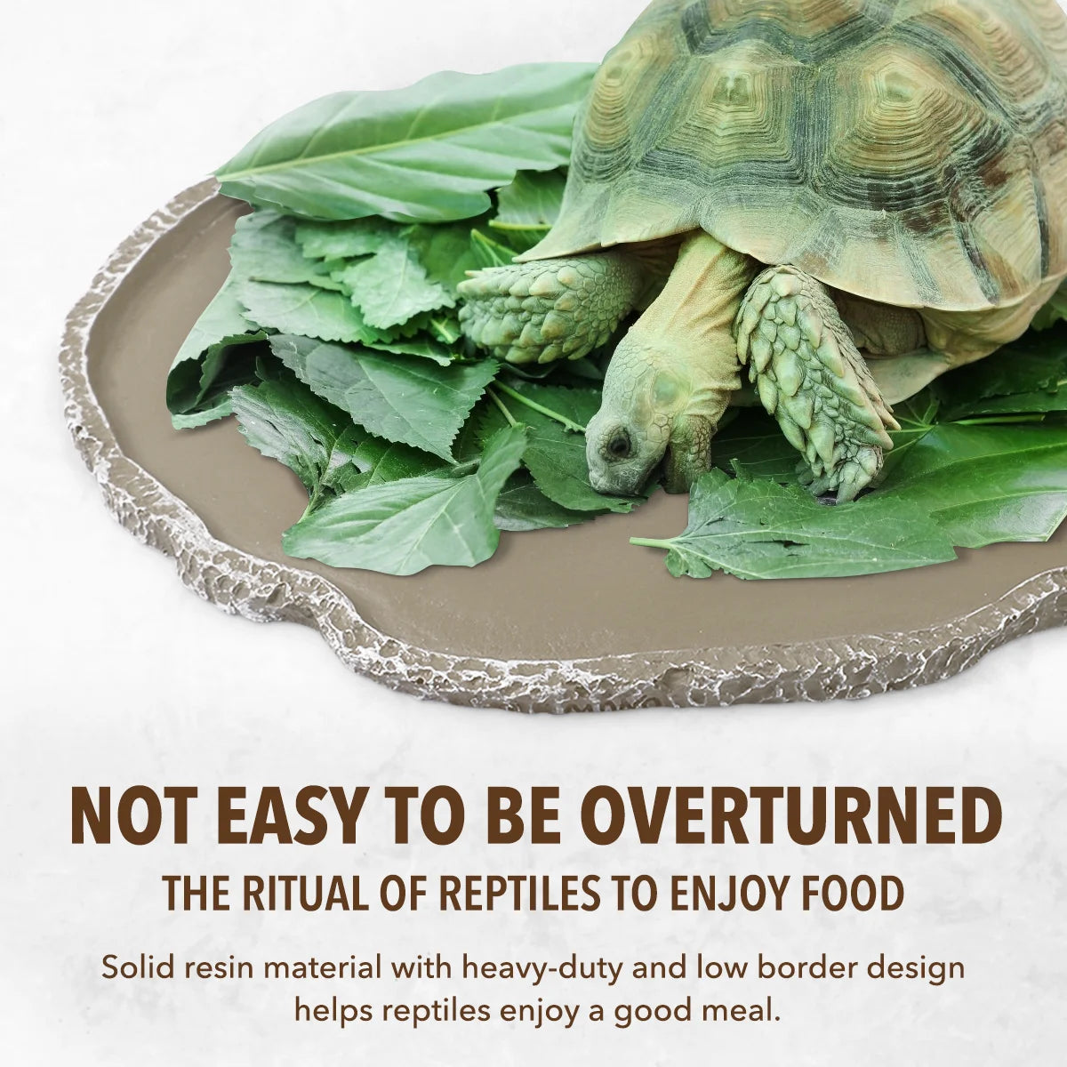 Resin Reptile Feeding Bowl