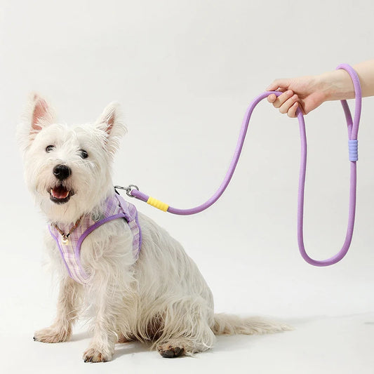150cm Strong Dog Leash Soft Handle Reinforced Pet Leashes For Small Medium Large Dogs Outdoor Puppy Walking Leading Leash
