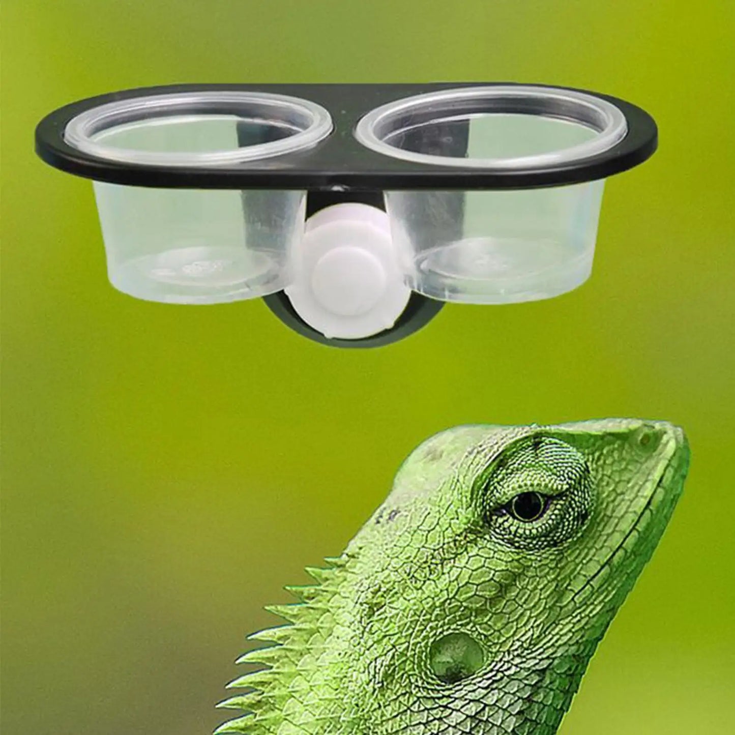 Reptile Tank Insect Spider Ants Nest Snake Gecko Food Water Feeding Bowl Terrarium Breeding Feeders Box Reptile Ideal Feeder