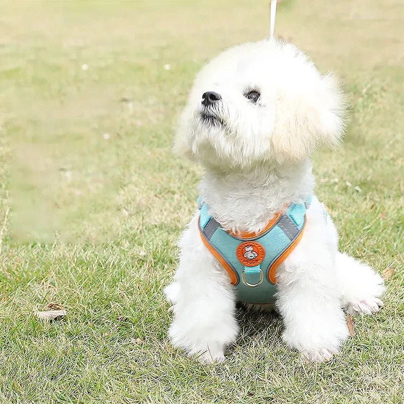 Dog Harness Leash Set Reflective Adjustable Dog Collar Dog Leash Small and Medium Dog Accessories Puppy Harness Pomeranian