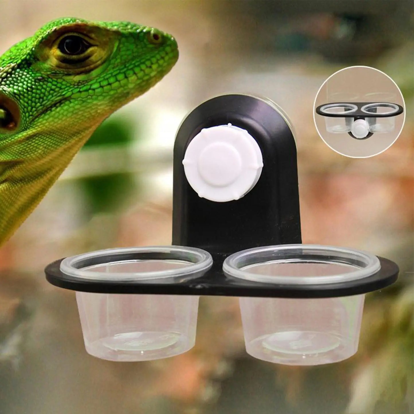 Reptile Tank Insect Spider Ants Nest Snake Gecko Food Water Feeding Bowl Terrarium Breeding Feeders Box Reptile Ideal Feeder