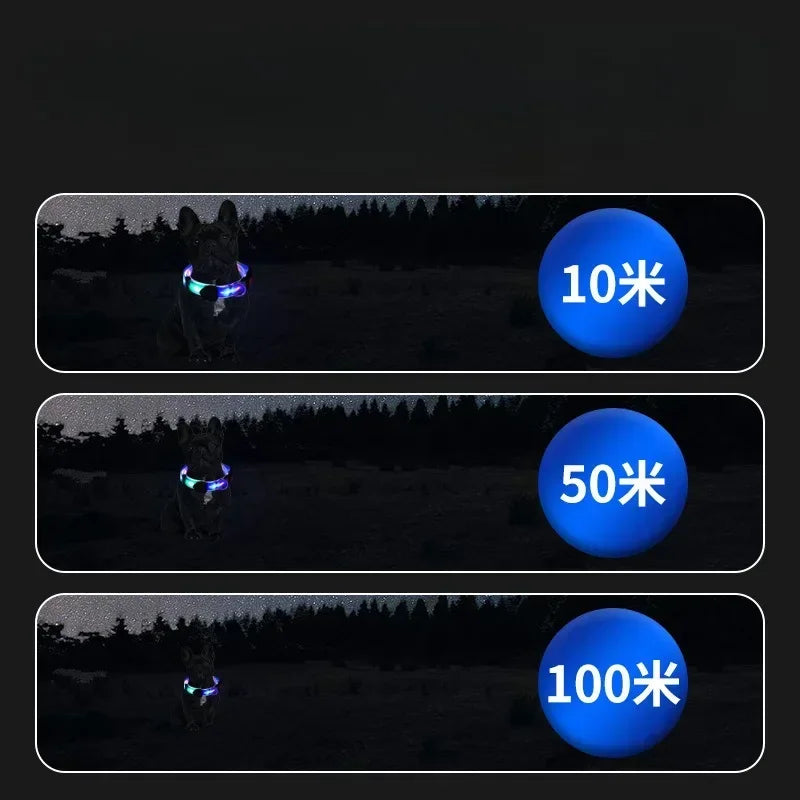 Nighttime Luminous Collar and Traction Rope Pet Collar with Nylon Webbing Dog Leash with Night To Prevent Getting Lost Cat Chain