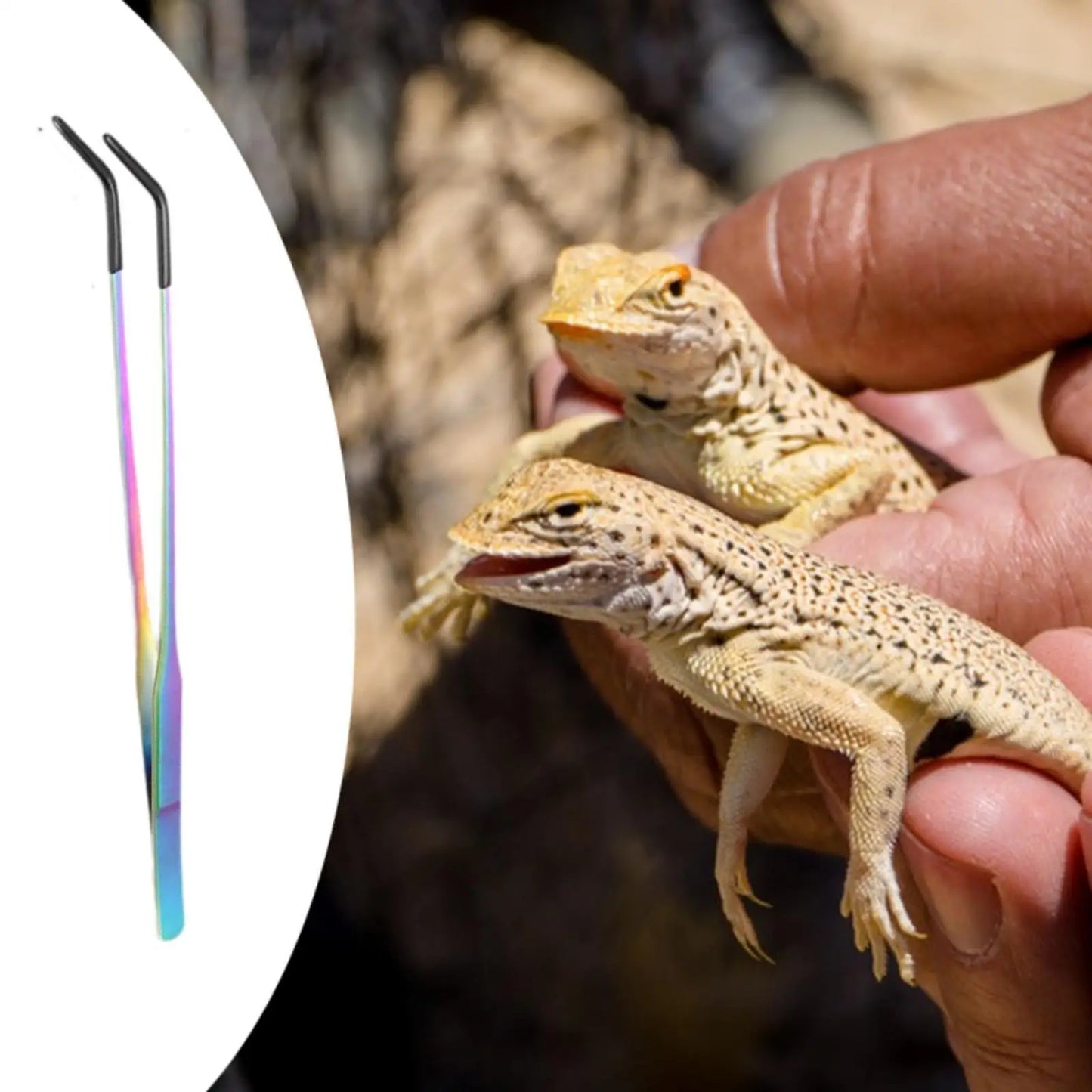 Reptile Feeding Tongs Long Aquarium Tweezers for Lizards Gecko Snakes Enclosure Accessories Water Grass Bearded Dragon Tank