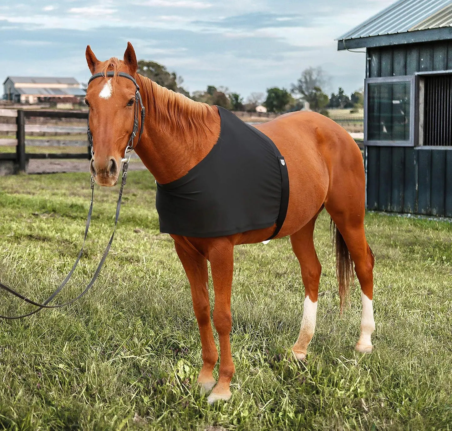 High Elastic Horse Chest Protectors Equestrian Supplies Anti-Friction Bibs Horse Shoulder Pads Comfortable Horse Vest for Equine
