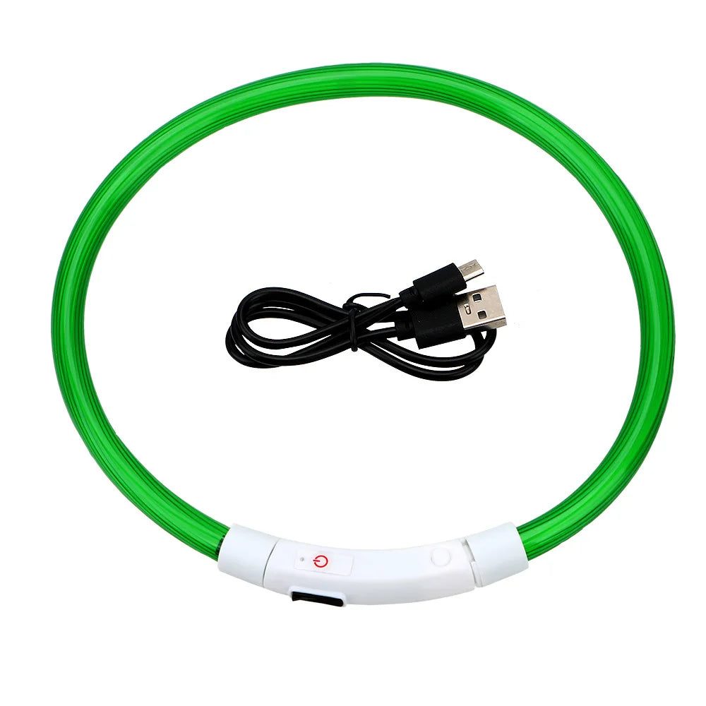 PetGlow LED Dog Collar - USB Rechargeable Night Safety