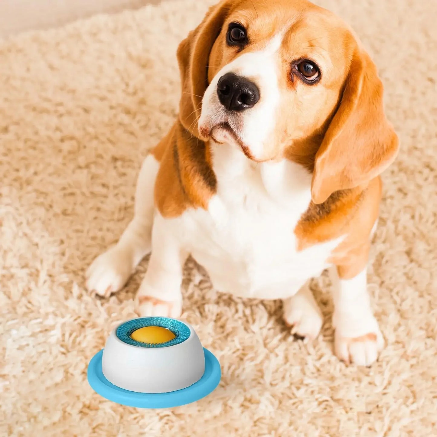 Pet Feeding Accessories Dog Treat Toy Puzzle Toys For Bored Puppy Slow Feeder Puppy Supplies For Healthy Eating Food Crate