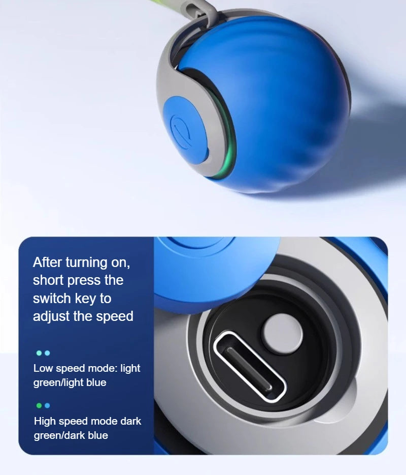 Cats Interactive Ball Toys