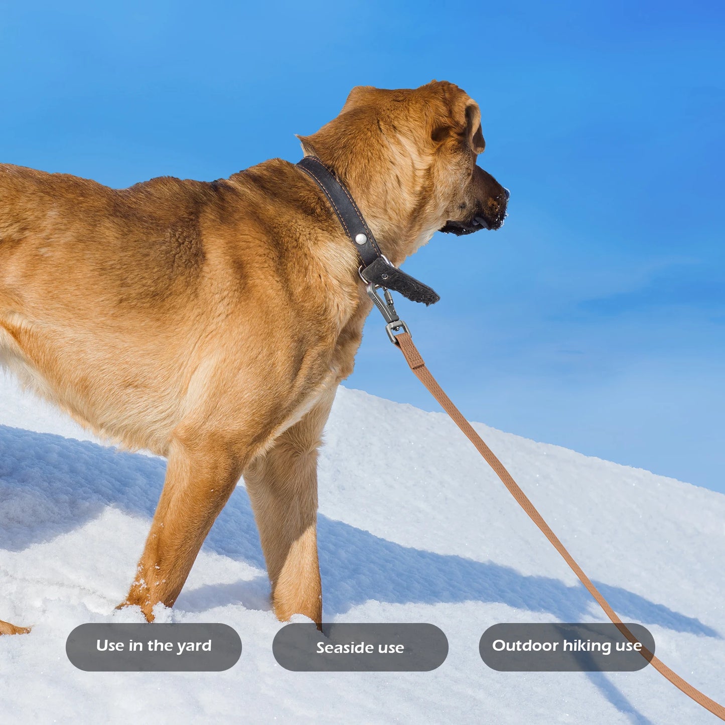 1.8M 3M 5M 10M PVC Heavy Duty Long Dog Leash for Large Medium Dogs Waterproof Easy Clean Strong Durable Running Training Leash