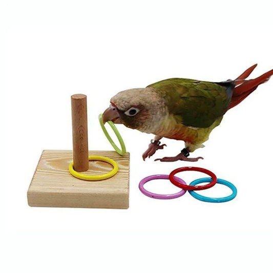 FeatherWorx Bird Training Ring Toy Parrot - Stimulates Mind And Strengthens Bond Through Interactive Enrichment