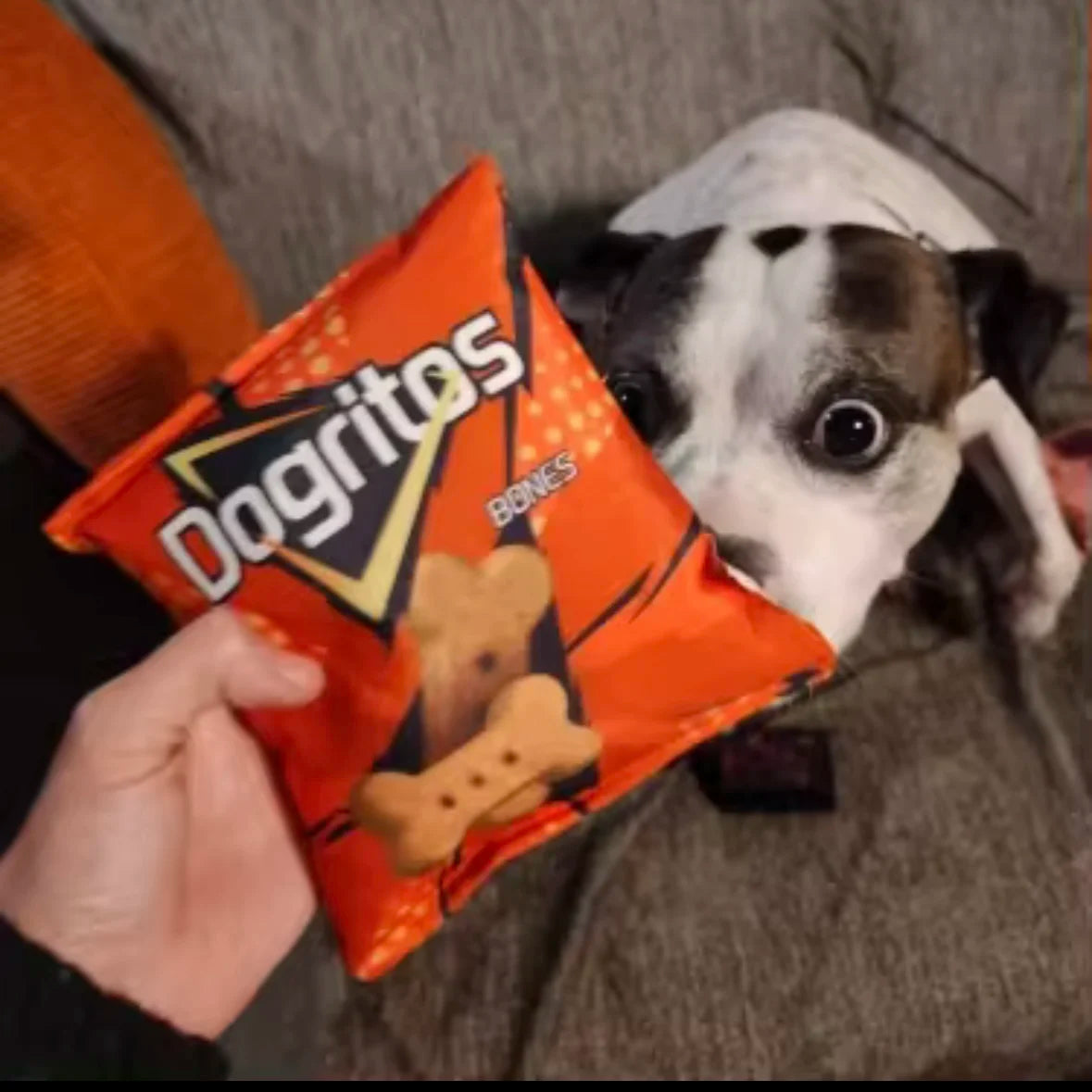 Funny Crisps Dog Toys Interaction Chew Molars Plush Dog Toys Bite Resistance Clean Teeth Oral Cavity Puppy Toys Pet Accessories