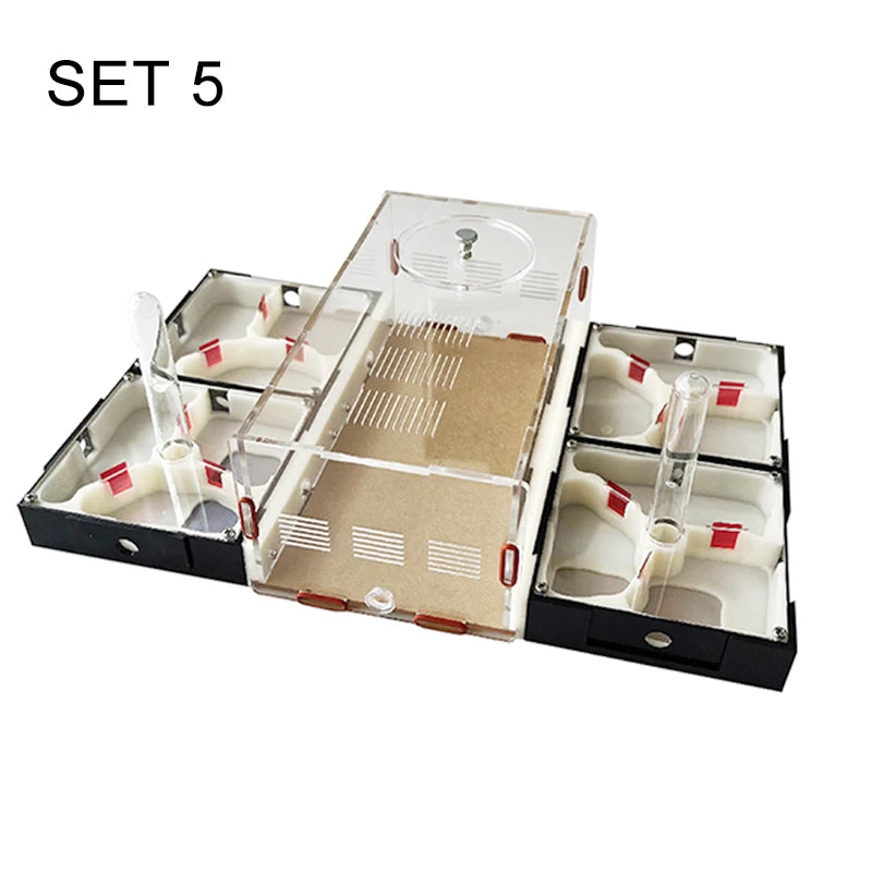 Acrylic Ant Farm Unlimited Expansion.