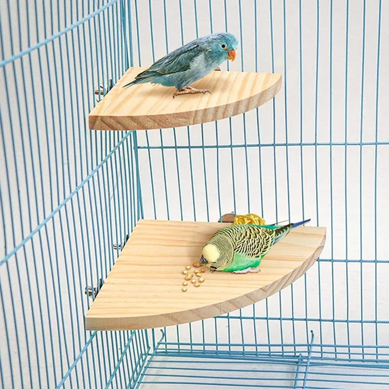 NatureNest Wooden Bird Perch Stand Rectangle Fan Shaped Shelf For Parrot Parakeet And Small Pets Cage Friendly