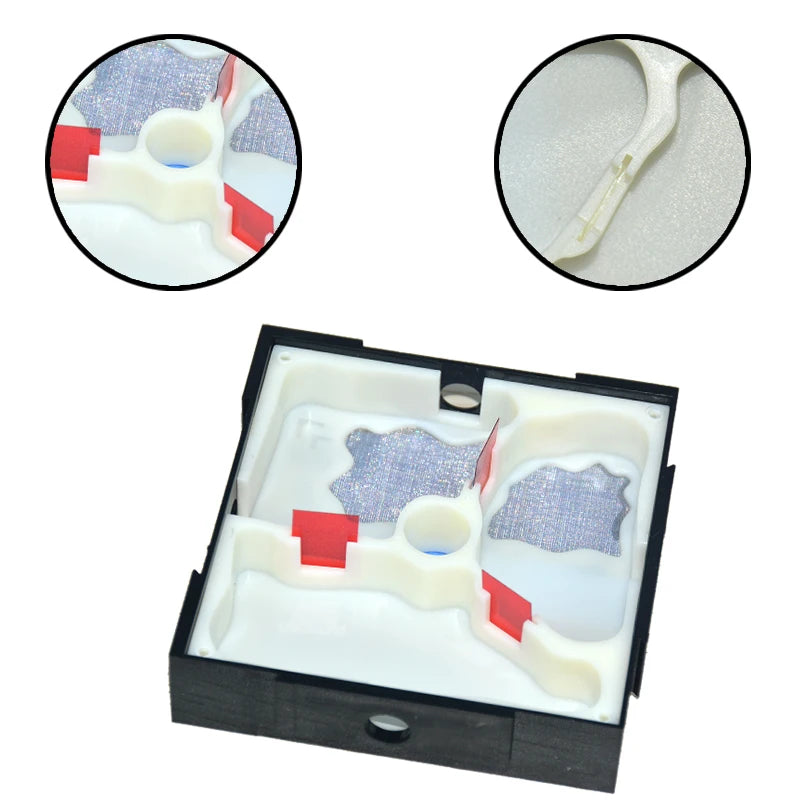 Acrylic Ant Farm Unlimited Expansion.