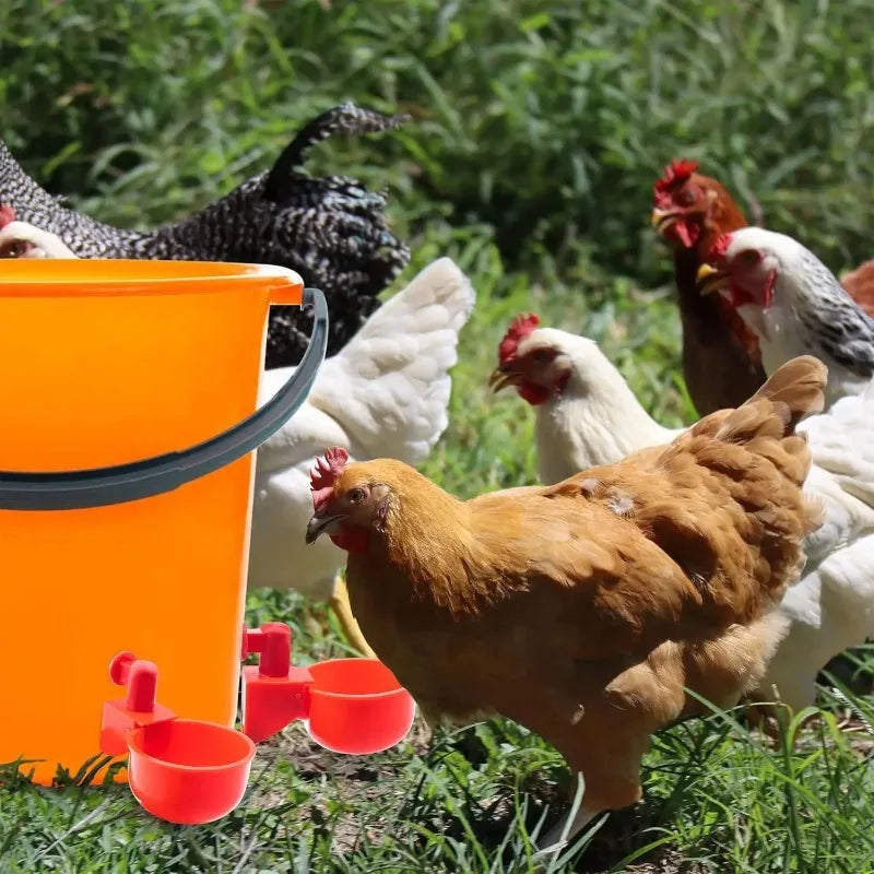 10/20 Pcs Chicken Drinking Bowl Poultry Automatic Water Dispenser Pigeon Small Chick Feeding Bowl Chicken Coop Water Dispenser