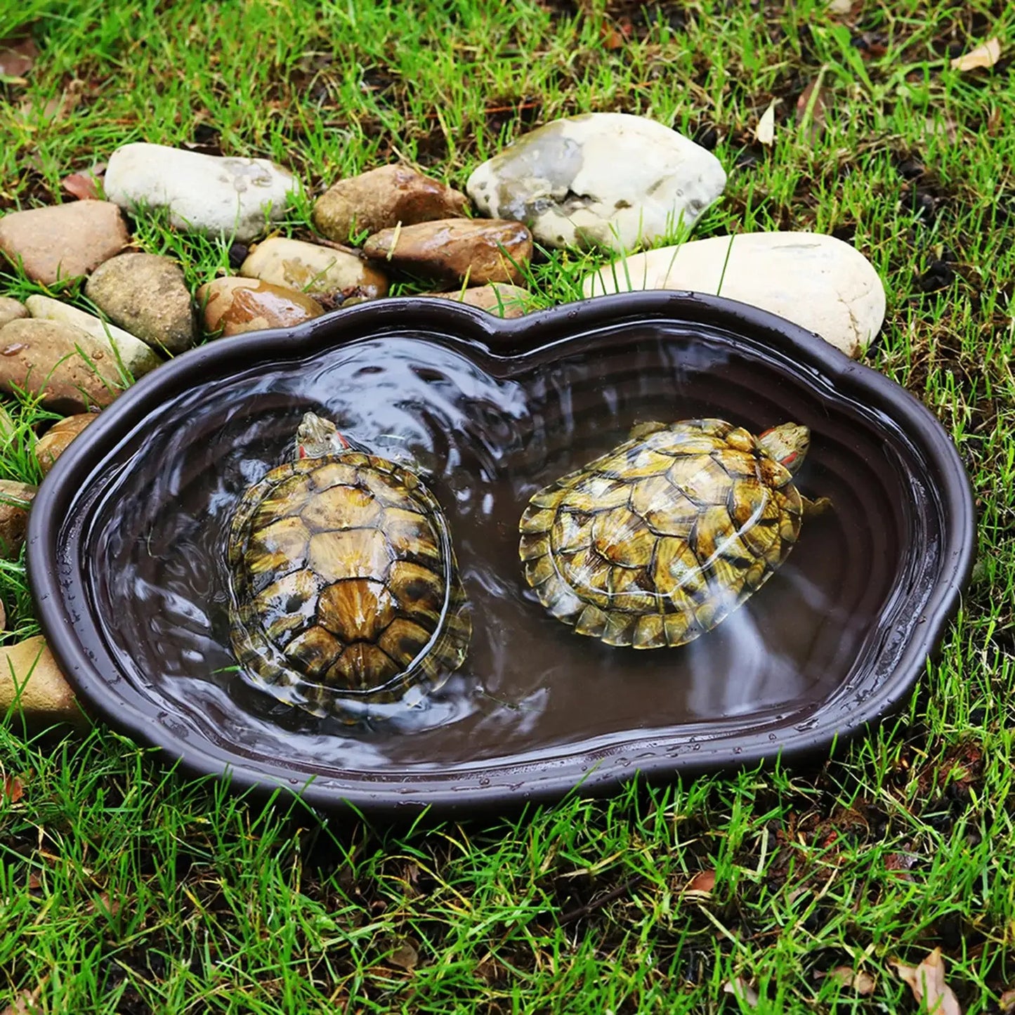 Reptile Bathing Pool with Ramp