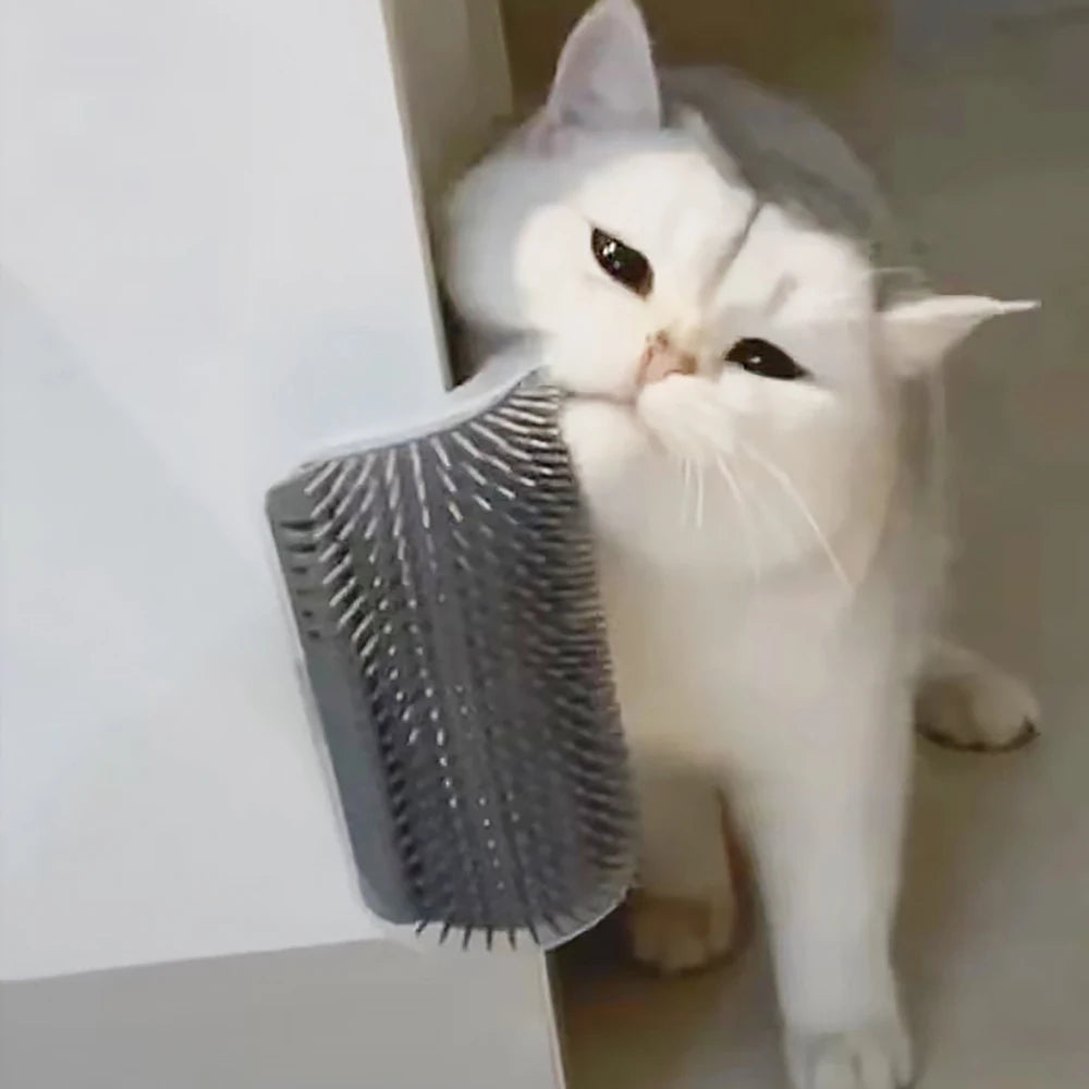 Cat Massager for Cats