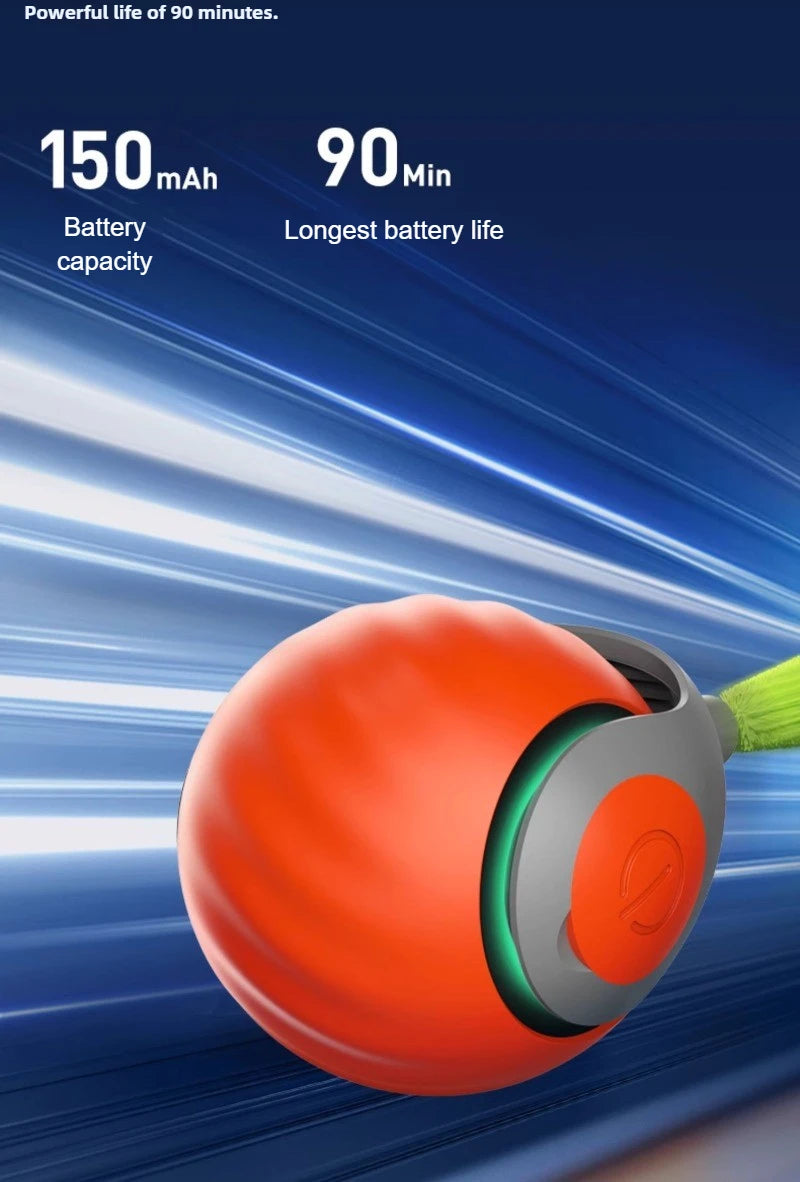 Cats Interactive Ball Toys