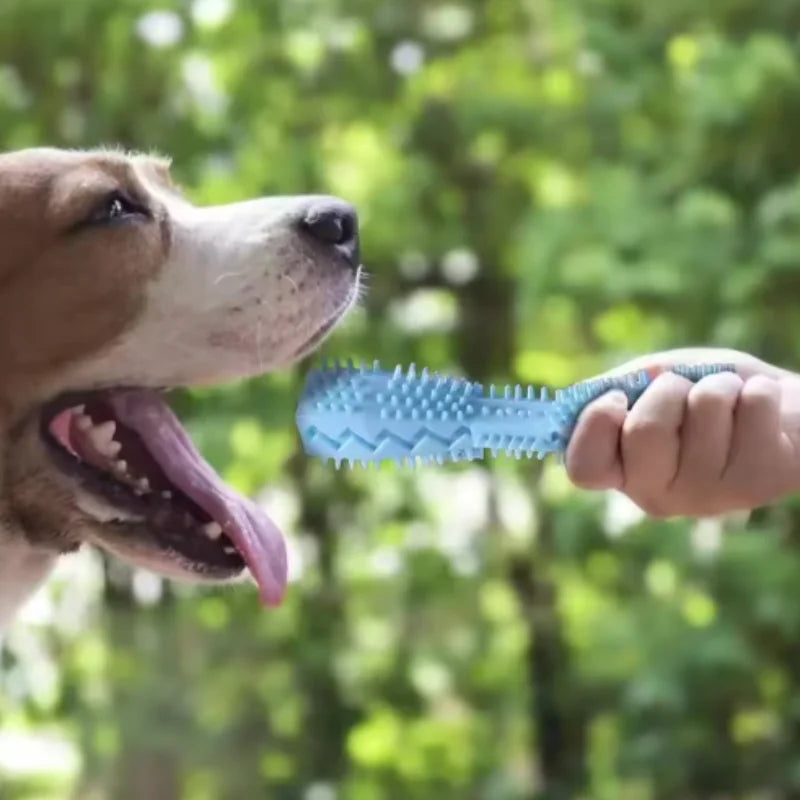 Pet Supplies Dog Chew Toy Pet Chew Leaky Toy TPR Material Dog Toothbrush Grinding Teeth Cleaning Stick
