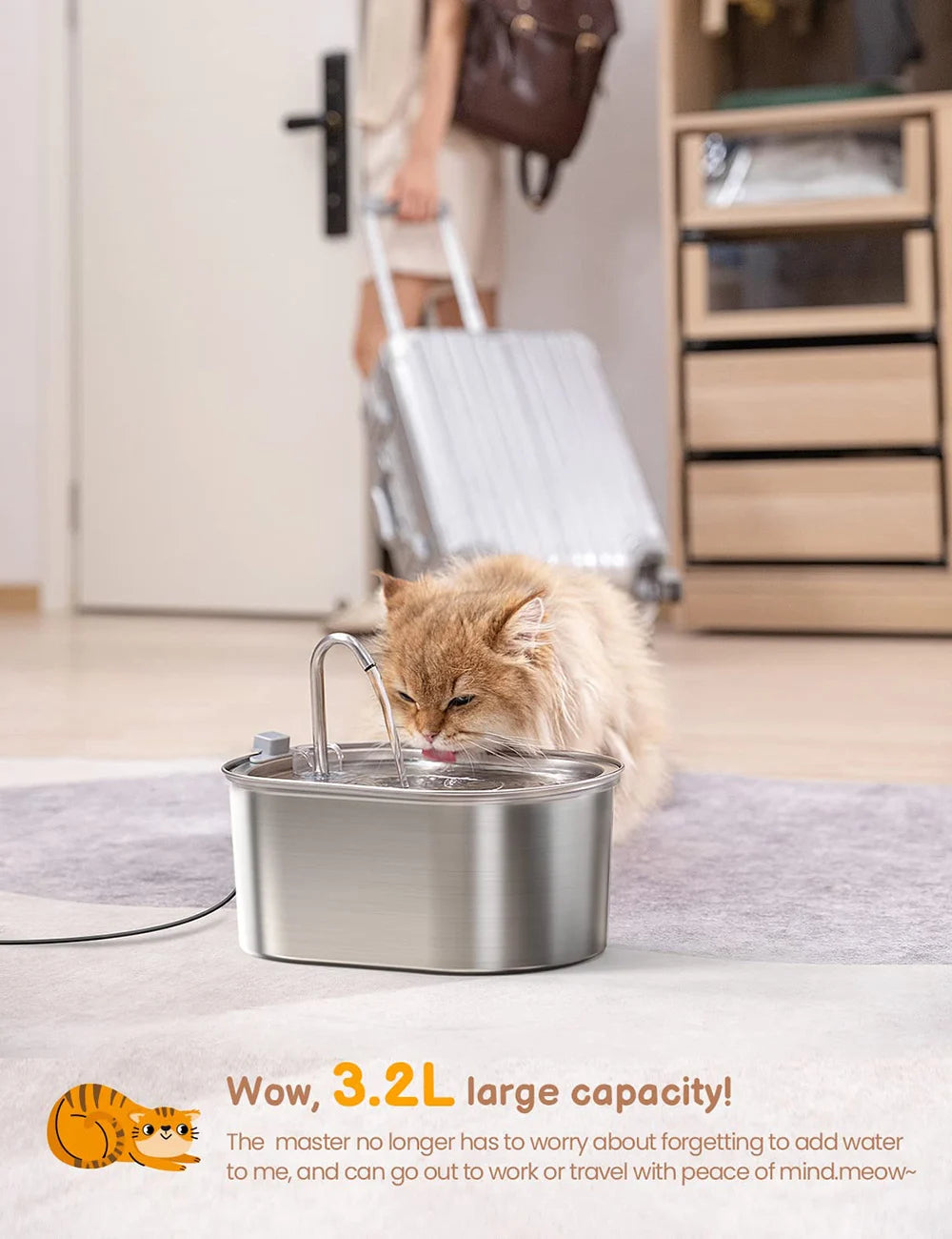 Smart Cat Water Fountain