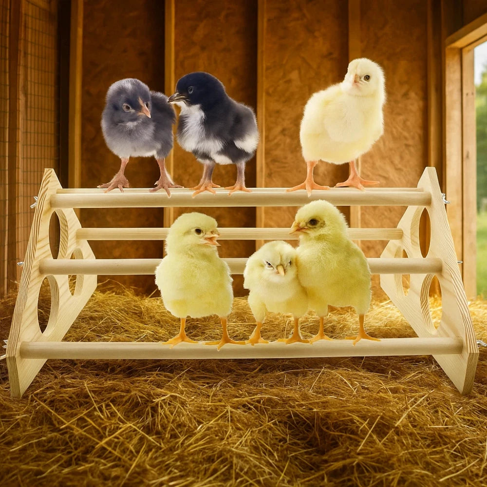 Poultry Ducks Wooden Ladder  Trainning Roosting Bird Stand Parrot Swing Chicken Perch Chick Roost Bar