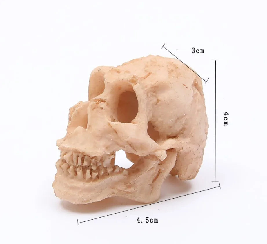 Simulation Statue Landscape Ornament Reptile Cave Artifical Rhino Sheepshead Resin Skull Aquarium Terrarium Decoration Fish Tank