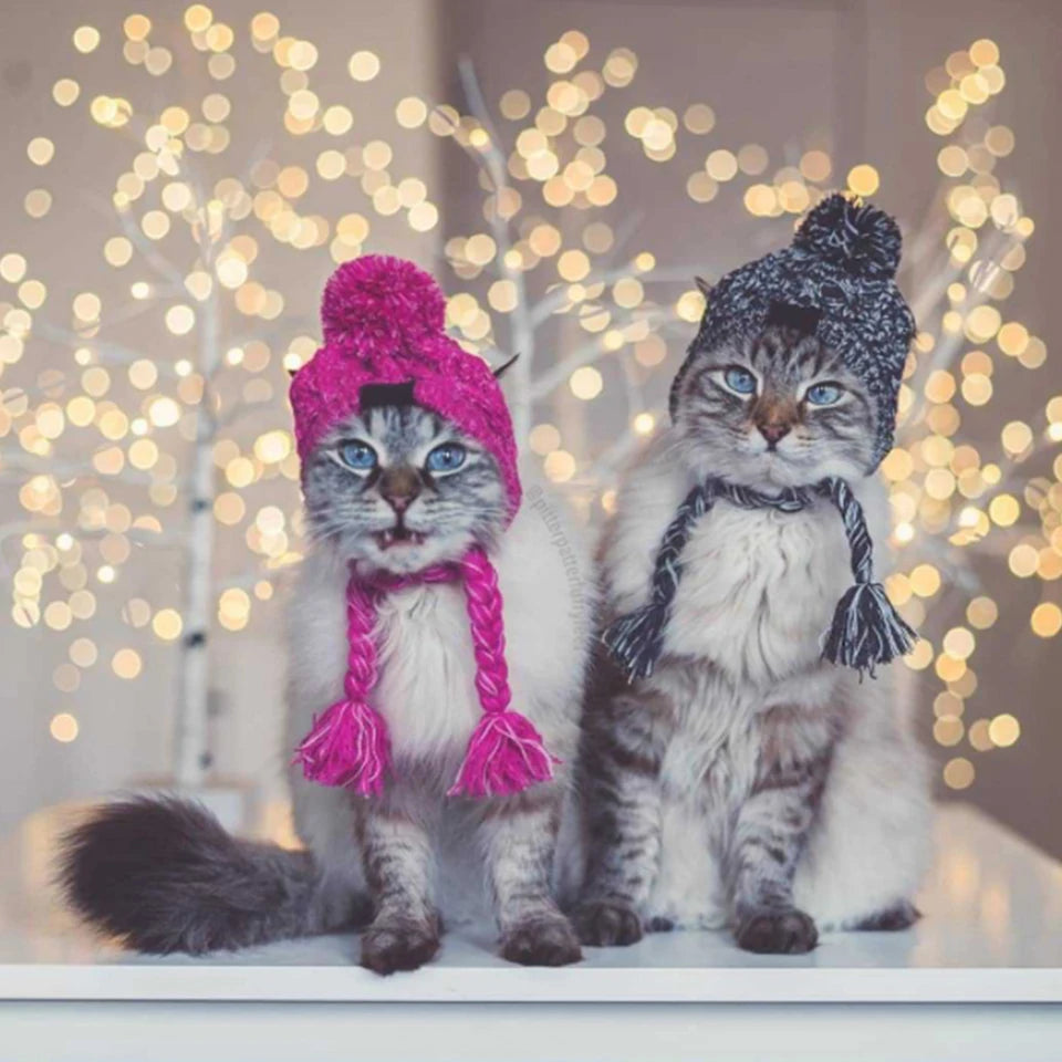 Dualpet Warm Dog Hats Knitting Windproof Hat for Dogs Cats French Bulldog Chihuahua Winter Fluffy Ball Cap Pet Accessories S M L