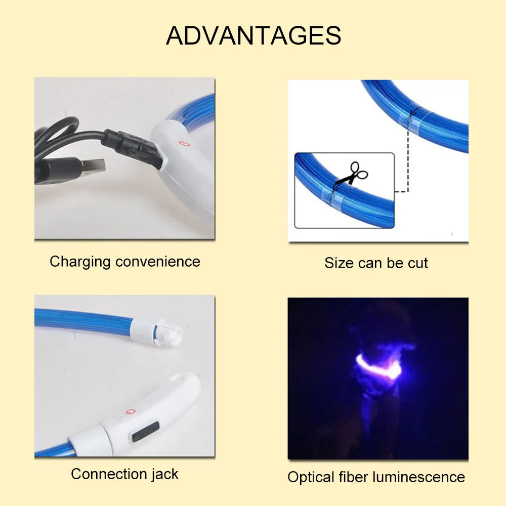 PetGlow LED Dog Collar - USB Rechargeable Night Safety