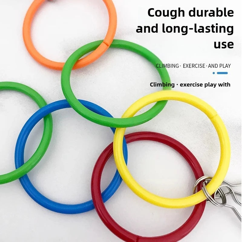 Colorful Bird Ring Chew Toy