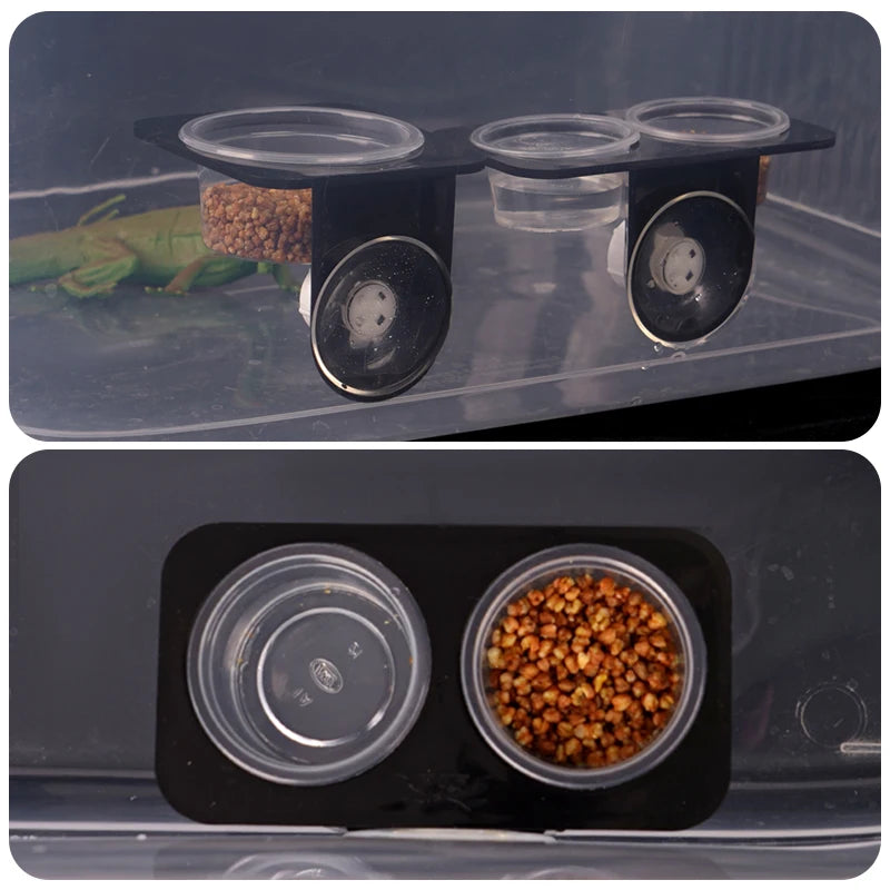 Suction Cup Feeder
