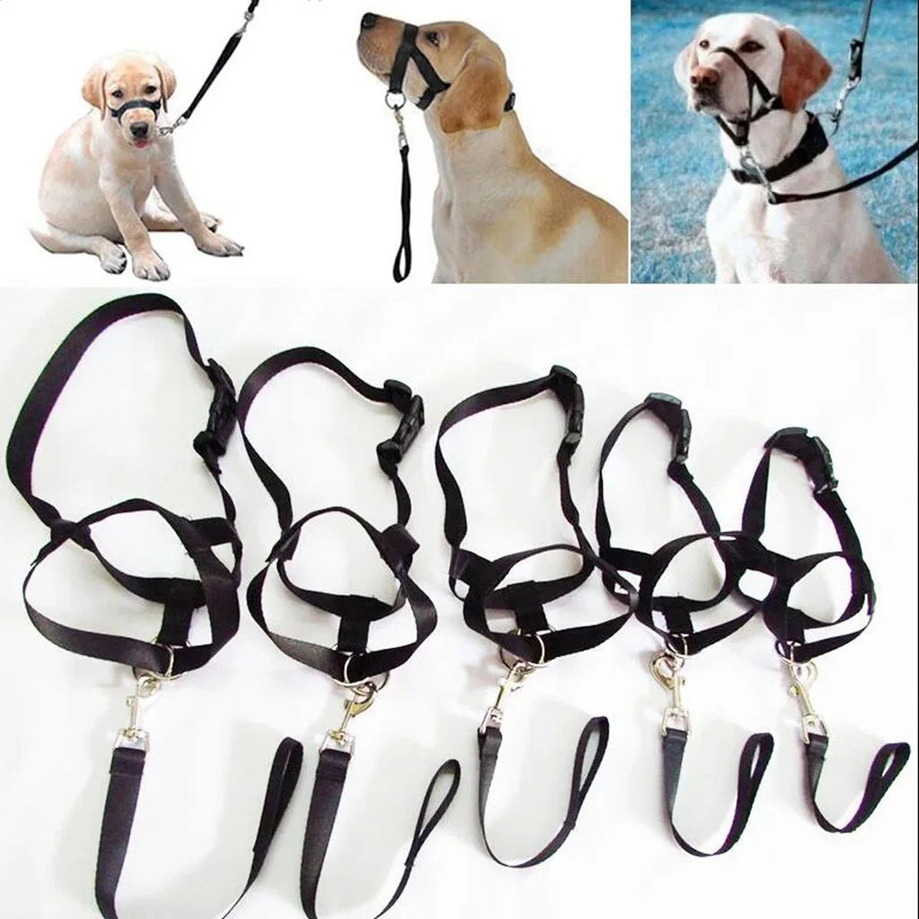 Dog Training Muzzle Muzzle, Dog Mouth and Nose Ring Training, Dog Anti-impact Pull, Dog Leash, Dog Walking Pet Supplies