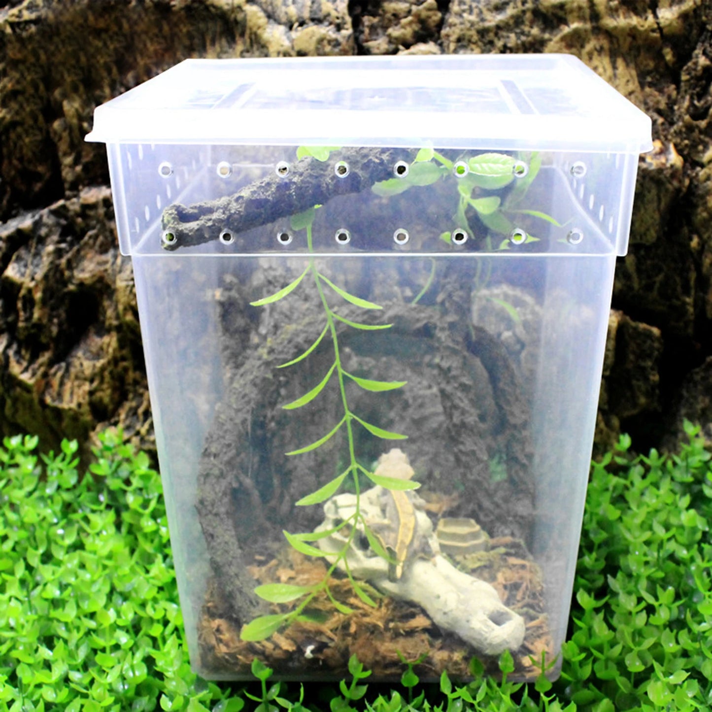 Pets Reptile Feeding Box Tarantula Enclosure Turtle Tank Aquarium Lizard Container Animals Habitat Cage For Frog Spider Gecko