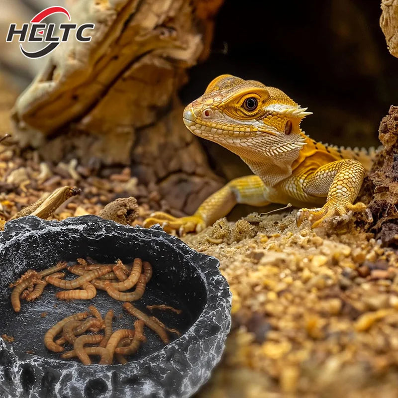 Imitation Stone Bowl Reptile Pet Feeding And Water Bowls Safe And Durable Ideal For Bearded Dragons And Other Small Reptiles