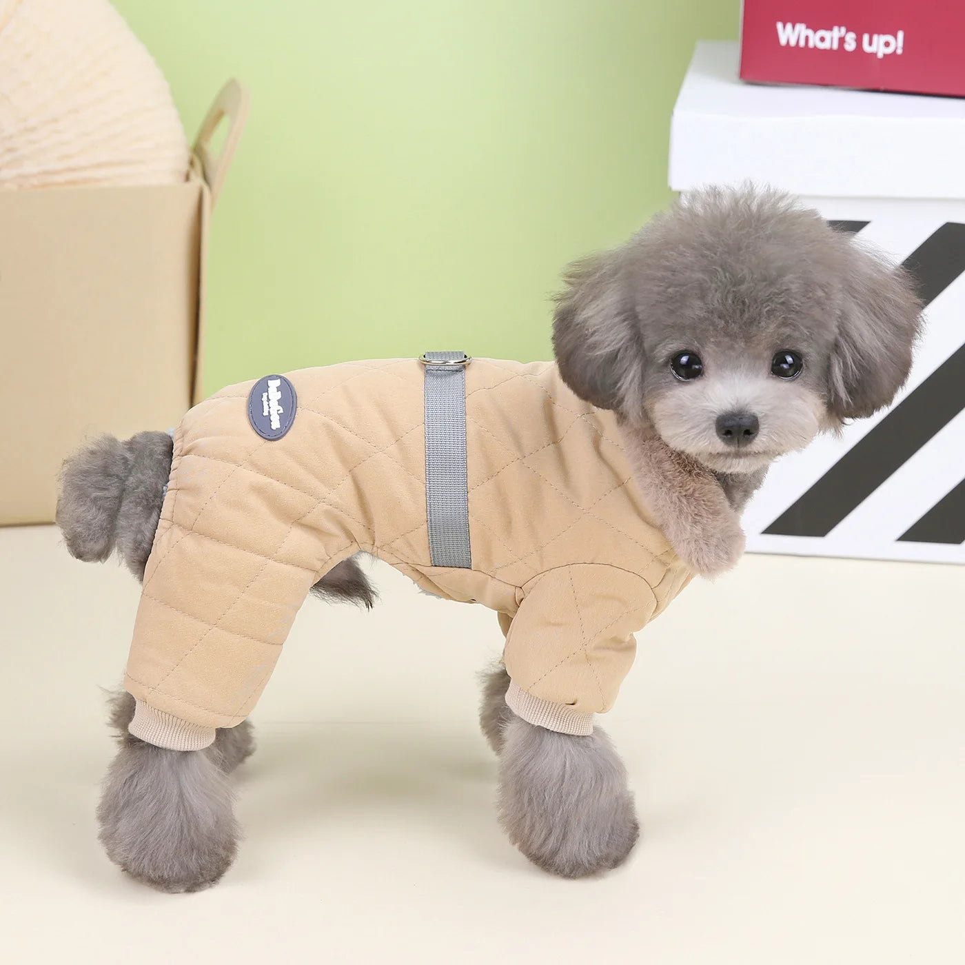 Winter Warm Dogs Jumpsuit for Small Dogs Cats Puppy Clothes Chihuahua Overalls Outfits Poodle Yorkies French Bulldog Pet Costume