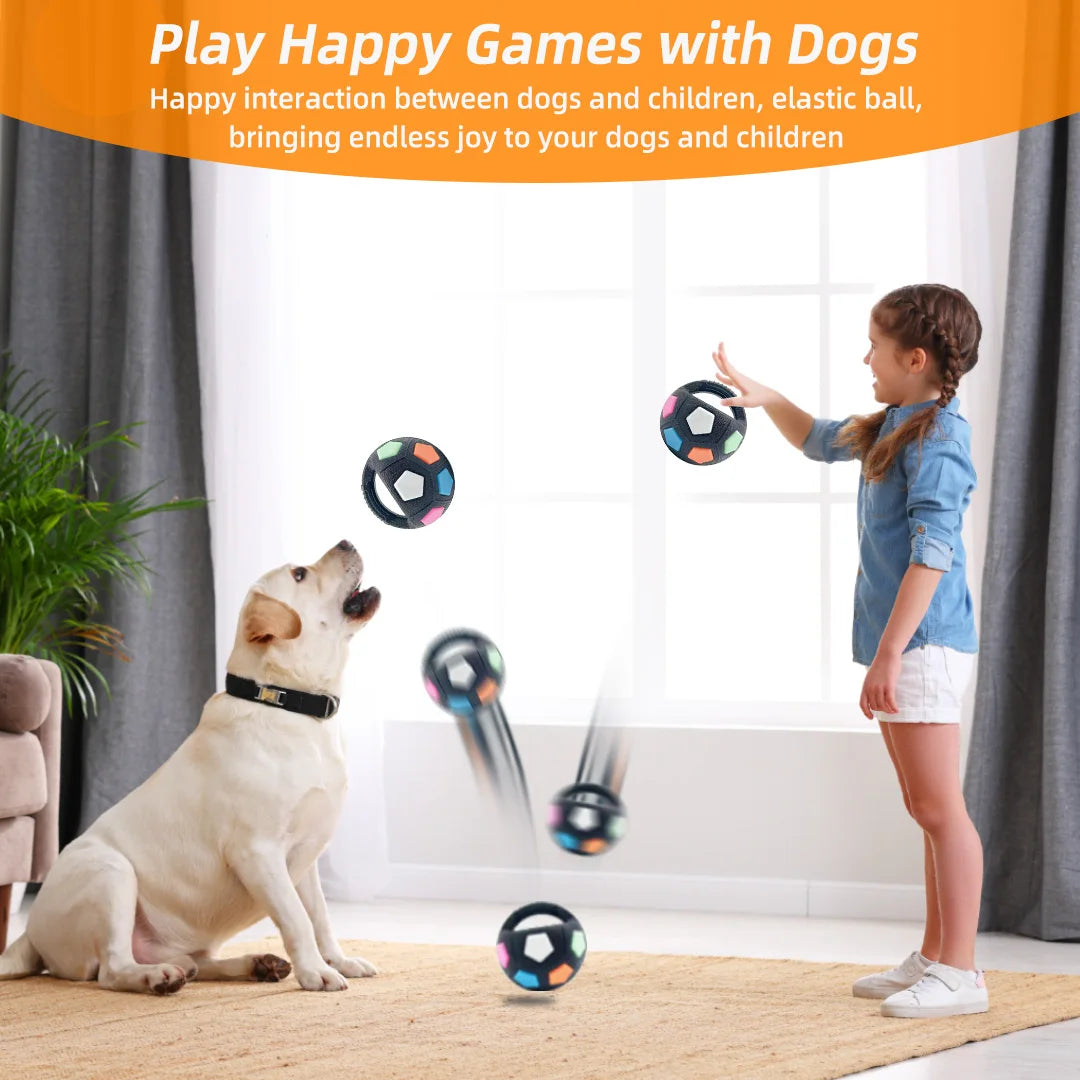 Grab Ball For Dogs
