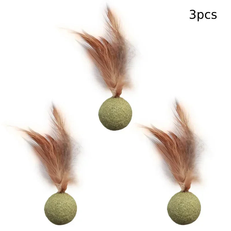 Title (SEO, ≤40 chars): Edible Catnip Ball Toy Mint Infused Cats