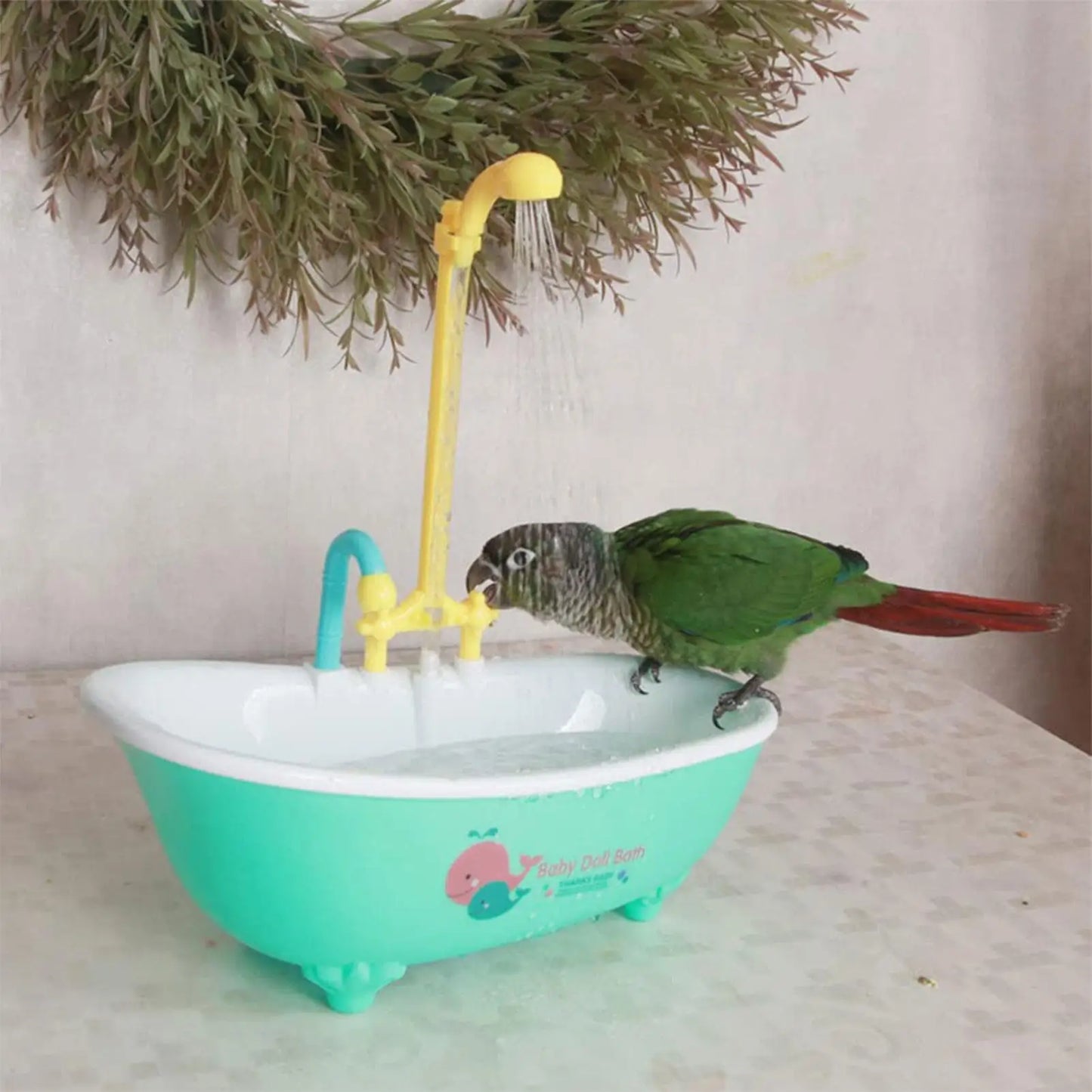 Bird Bathtub Parrot Bath Fountain Bird Parrot Bird Shower Bathing Tub Pet Pool Birdbath Bowl Pet Bird Bath Basin Parrot Basin